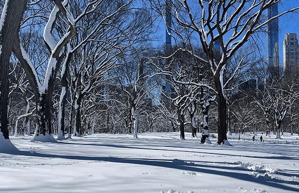 JG New York Trip 2026