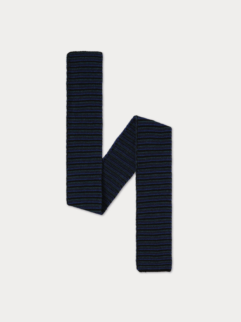 mainly blue, multicolour striped scarf